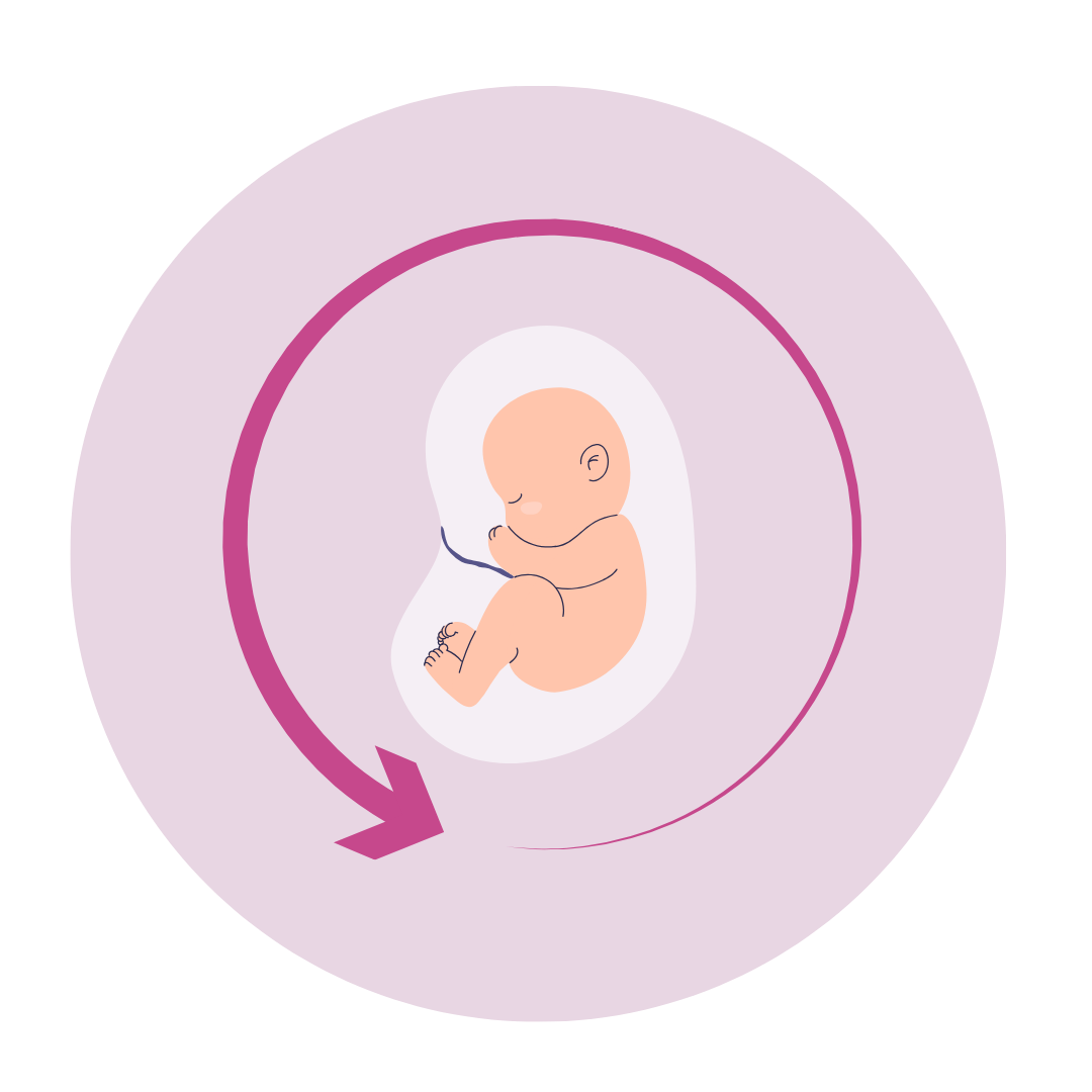 een succesvolle bevruchting